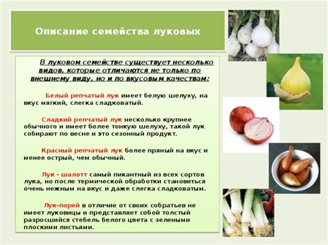 Влияние лука на мясной продукт