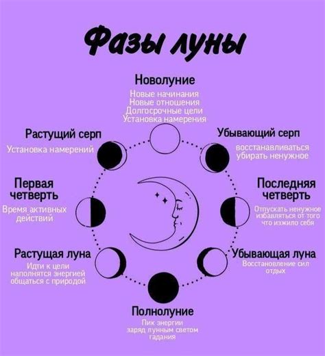 Влияние луны на биологические процессы организма