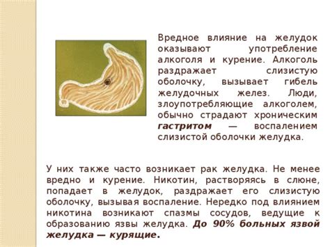 Влияние льняного масла на слизистую оболочку желудка и кишечника