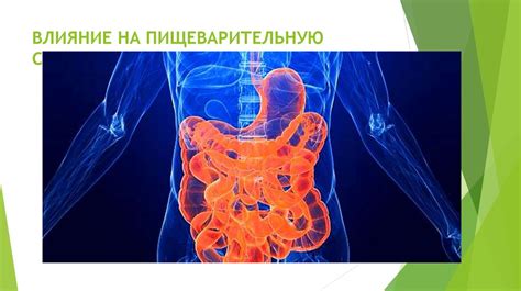 Влияние маслин на пищеварительную систему ребенка