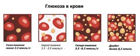 Влияние риса на уровень глюкозы в крови
