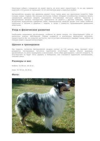 Влияние рождения щенков на физическое состояние суки