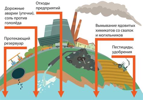 Влияние рыболовства на экосистему