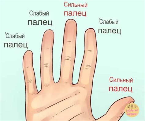 Влияние спорта на форму пальцев
