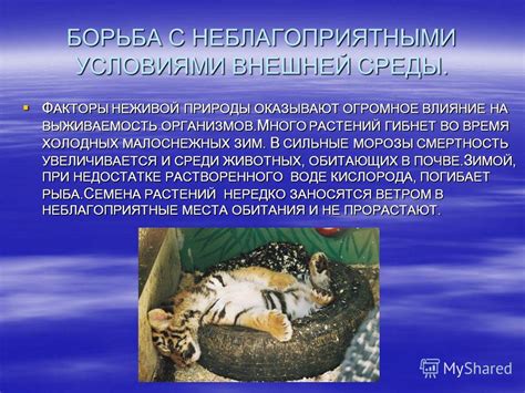 Влияние способа отпускания на выживаемость рыбы