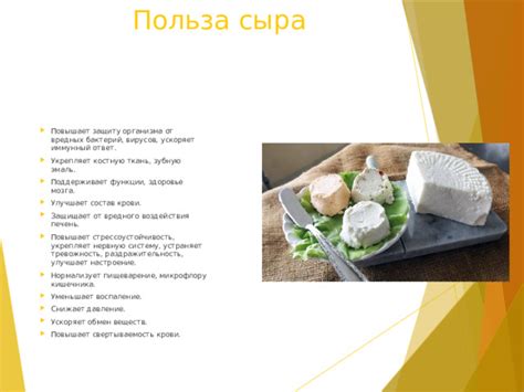 Влияние сыра моцарелла на обмен веществ