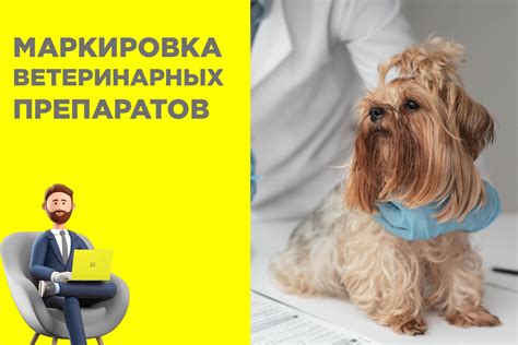 Возврат ветеринарных препаратов в зоомагазин: правила и сроки
