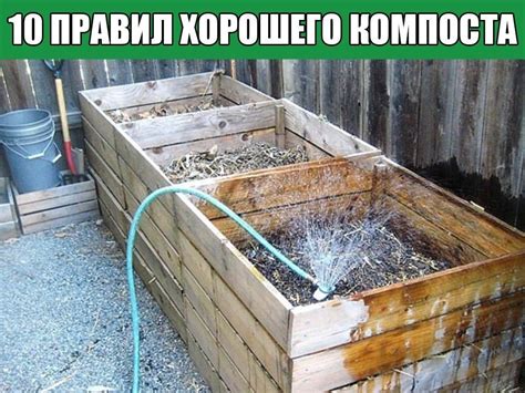 Возможные недостатки и риски при выливании мочи на компостную кучу