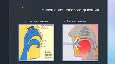 Возможные причины нарушения носового дыхания