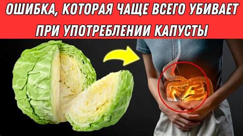 Возможные проблемы при употреблении свежей капусты