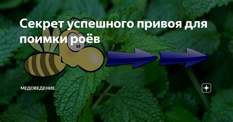 Волшебство в словах: простой секрет успешного рассказа