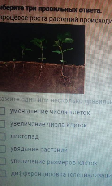 Вредные последствия увеличения в процессе роста
