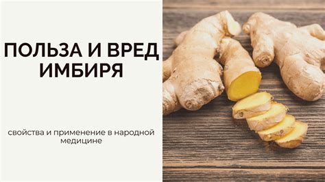 Вред имбиря для почек: когда стоит быть осторожным