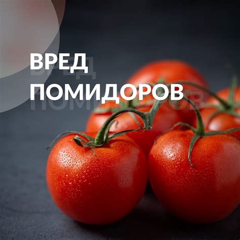Вред свежих помидоров для здоровья хомяков