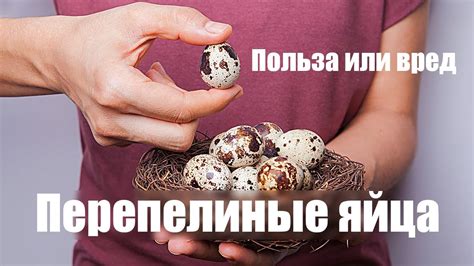 Вред яйца в борще для организма