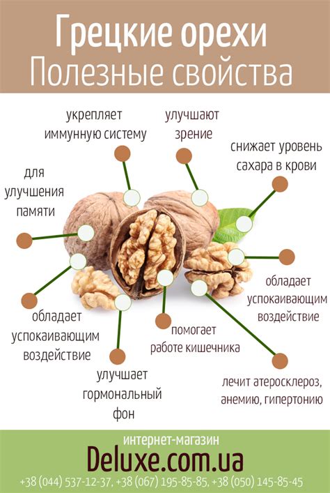 В чем заключается польза грецких орехов