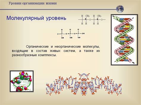 Генетический код и эмоциональность: понимание процессов на молекулярном уровне