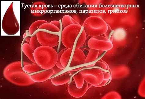 Густая кровь и ее связь с повышенной температурой