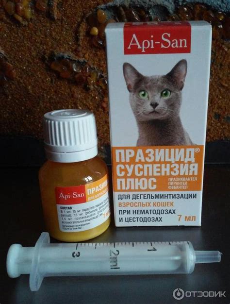 Давать кошке антигистаминные препараты для человека