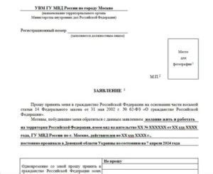 Документы и информация, необходимые для подачи заявления в 2022 году