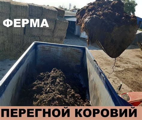 Животный перегной