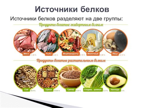 Замечательный источник белка