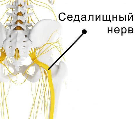 Защемление седалищного нерва: возможные причины и симптомы