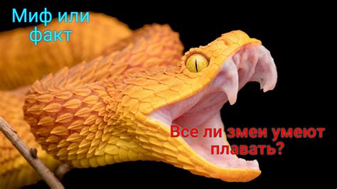 Змеи умеют пищать