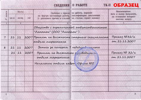 Значение должности в трудовой книжке