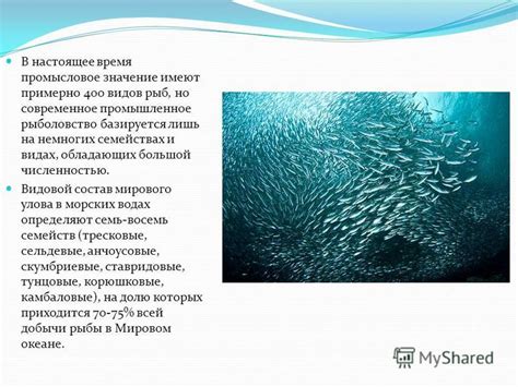 Значение отпуска захваченных рыб в морских водах
