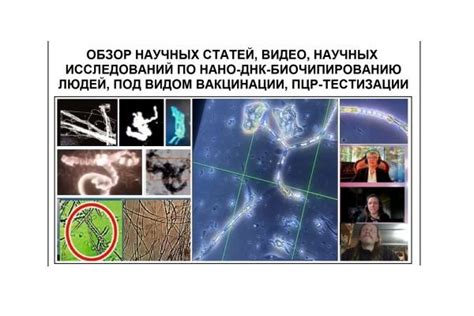 Игра светотени и обзор научных исследований