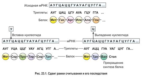 Изменения генетического кода