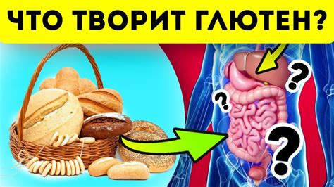 Исследования: что говорят ученые о выпечке в рационе