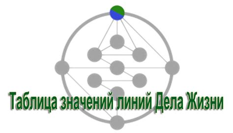 История и значение линий жизни