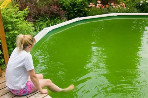 Как вода в бассейне негативно влияет на состояние волос: возможные причины и способы защиты