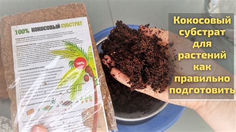 Как правильно промыть кокосовый субстрат