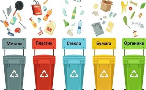 Как правильно сортировать мусор перед отъездом