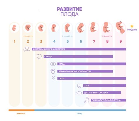 Как предотвратить ранние роды на 5 месяцев беременности