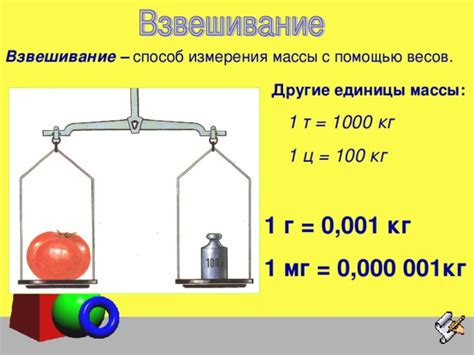 Как работают рычажные весы для измерения массы тела