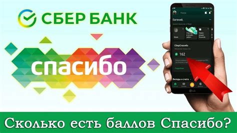 Как узнать баллы Спасибо на карте ДНС: полезные советы