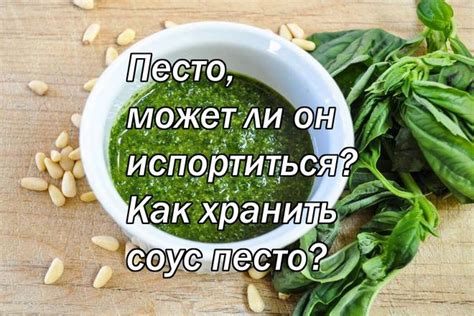 Как хранить песто в морозилке