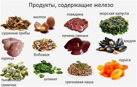Кальций, железо и другие полезные вещества в косточках фиников