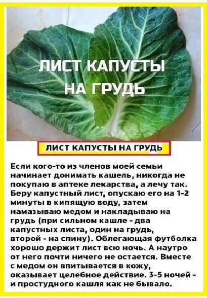 Капустный лист как природное средство при подагре