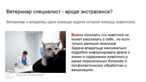 Когда проконсультироваться с ветеринаром
