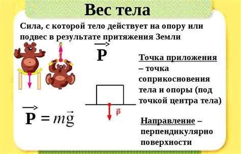 Масса тела и ее зависимость от веса