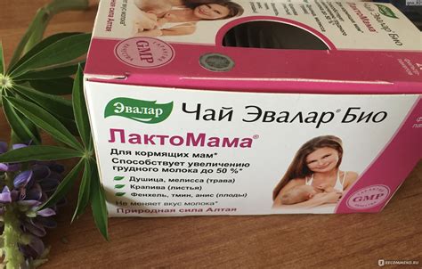 Мелисса и мятный чай для кормящих мам