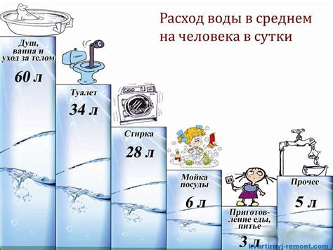 Метаболический процесс и потребление воды