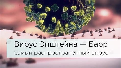 Методы защиты от передачи вируса Эпштейн-Барра половым путем