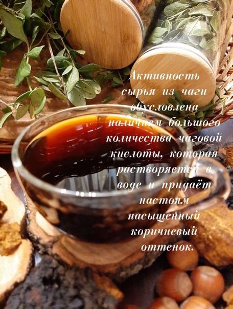 Методы приготовления чагового напитка