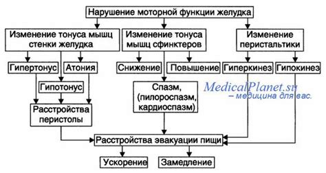 Механизм возникновения тошноты при нарушениях сосудистой системы